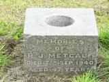 image of grave number 87473